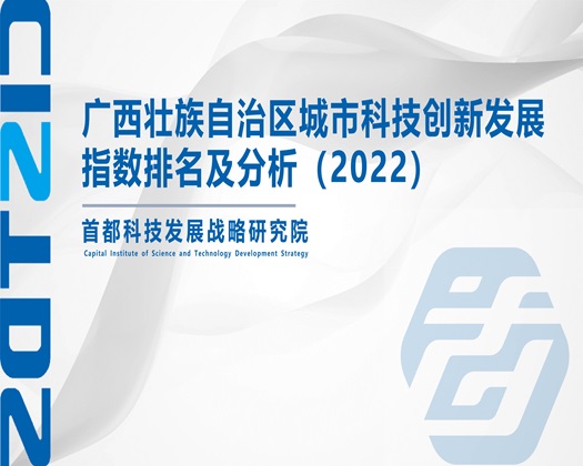 去干屄网【成果发布】广西壮族自治区城市科技创新发展指数排名及分析（2022）